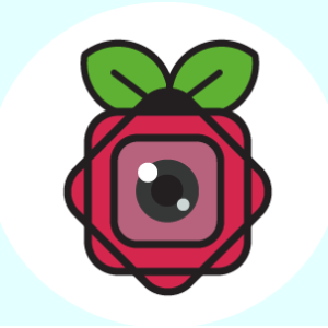 Native Raspberry Pi Cameras - 5MP/8MP/12MP
