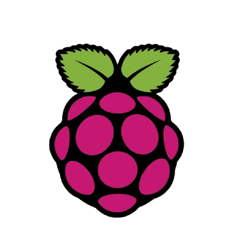 raspberry pi logo 01