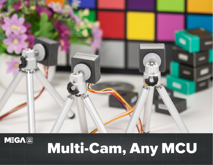 use multi camera for any MCU