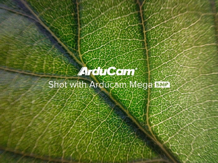 shot with mega leaf 1
