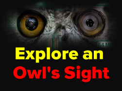 Arducam OwlSight 64MP Camera: Day Clarity & Night Magic